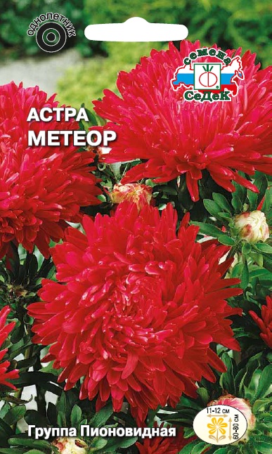 

Семена астра СеДеК Метеор 1567 1 уп.