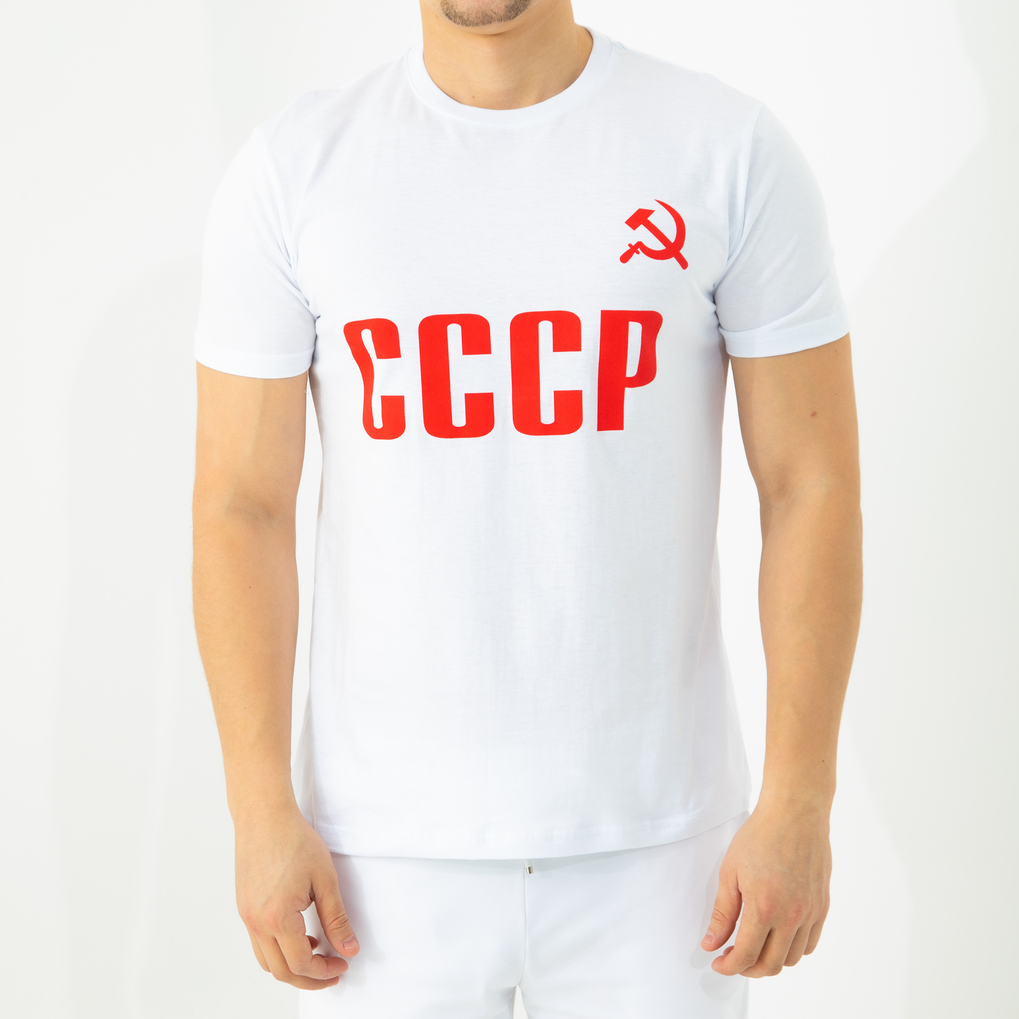 

Футболка мужская 25500 белая 46 RU, Белый, 25500