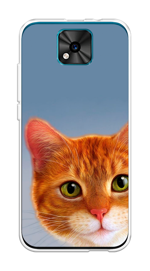 

Чехол на BQ 5533G "Любопытный котик", Коричневый, 201850-1