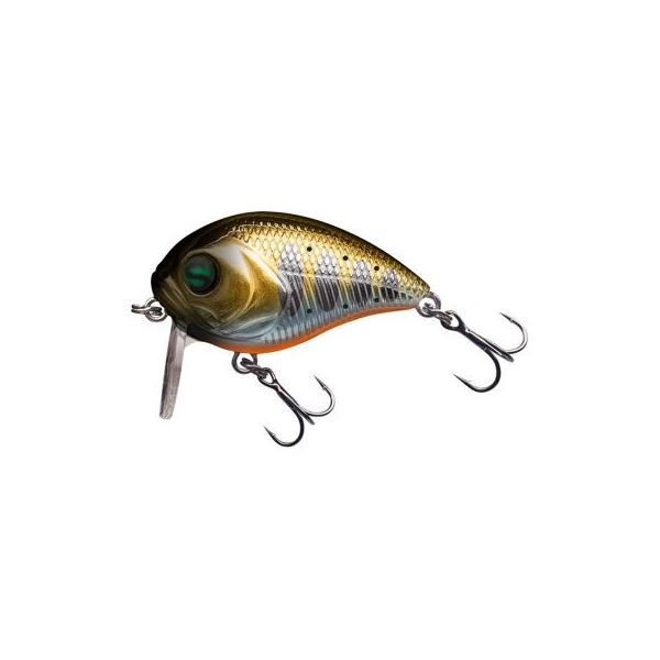 

Воблер Sprut Chubby Killer 40F GDN1, Золотистый;серебристый;оранжевый, Chubby Killer