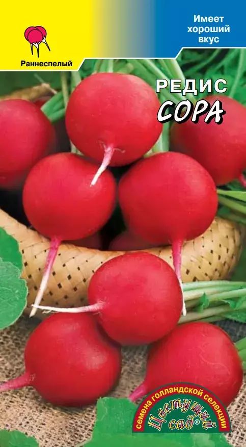 

Семена редис Сора голландия Цветущий сад 1 уп.