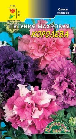 

Семена петуния Цветущий сад Королева 1 уп.