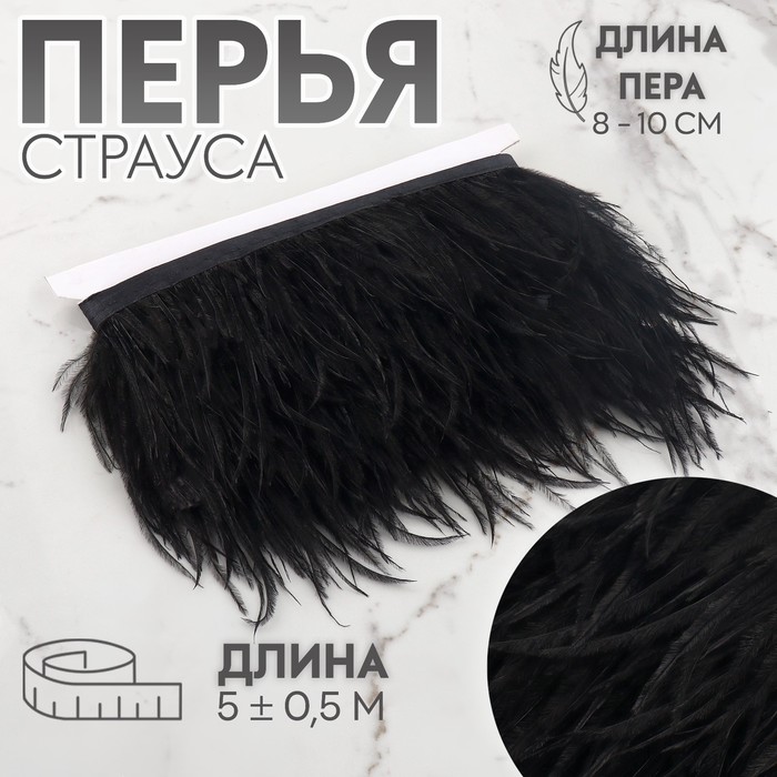 

Арт Узор Тесьма с перьями страуса, 8-10 см, 5 ± 0,5 м, цвет черный