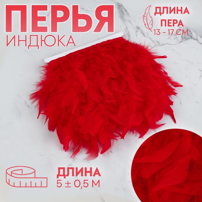 

Арт Узор Тесьма с перьями индюка, 13-17 см, 5 ± 0,5 м, цвет красный