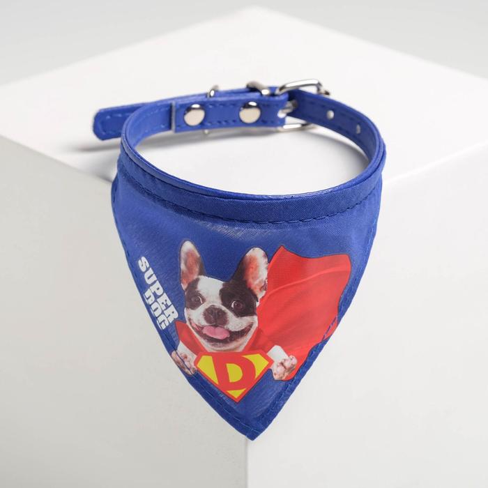 

Ошейник с платком Super dog 32 х 1 см, синий,, Super dog