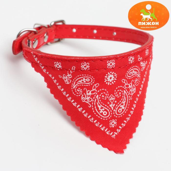 

Ошейник с косынкой 32 х 1 см, красный, с косынкой