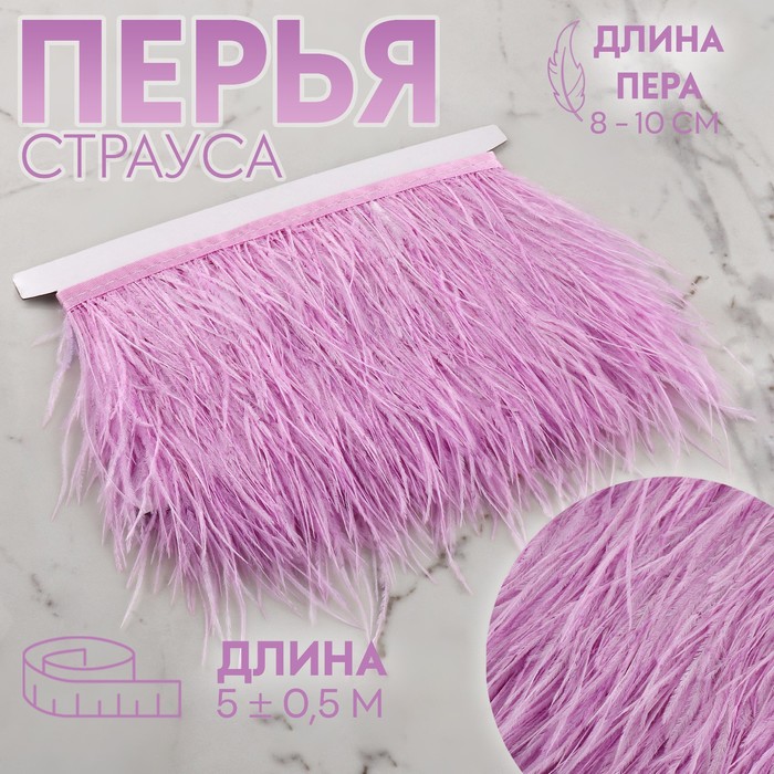 

Арт Узор Тесьма с перьями страуса, 8-10 см, 5 ± 0,5 м, цвет сиреневый