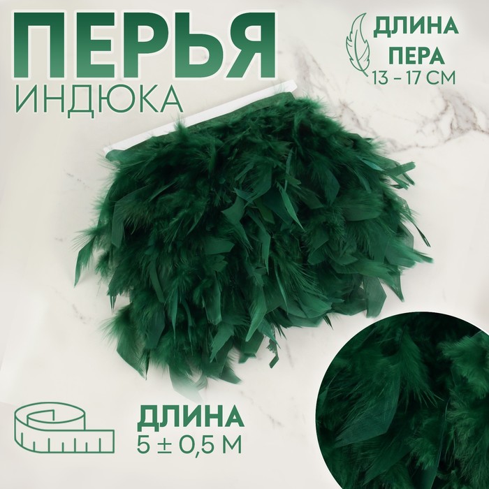

Арт Узор Тесьма с перьями индюка, 13-17 см, 5 ± 0,5 м, цвет изумрудный, Зеленый