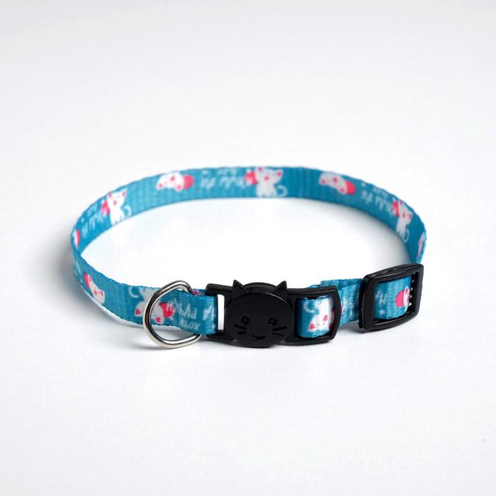 

Ошейник для кошек с фастексом «Хочу на ручки», 30 х 1 см