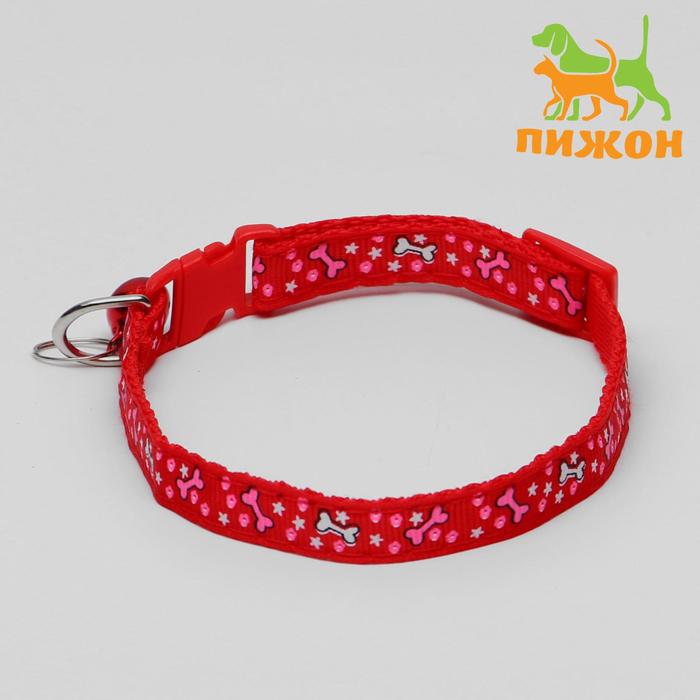 

Ошейник двухслойный с фастексом Звездные косточки, 30 х 1 см, микс цветов, Звездные косточки