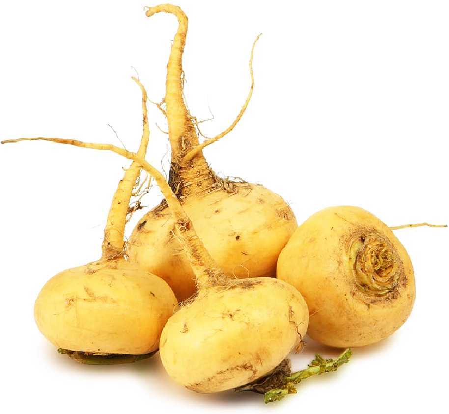 

Репа свежая 0,5 кг