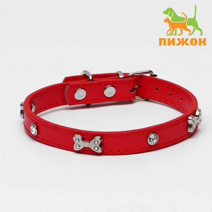 

Ошейник "Косточки и стразы", 38 х 1,5 см, красный, Косточки и стразы