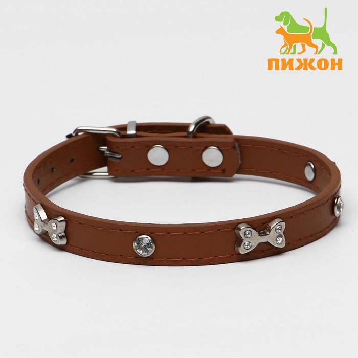 

Ошейник "Косточки и стразы", 38 х 1,5 см, коричневый, Косточки и стразы