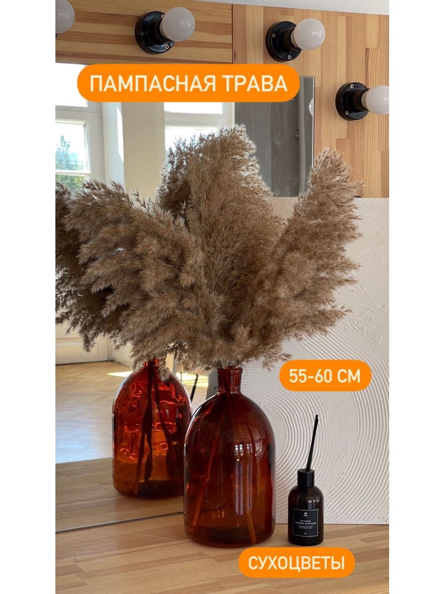 

Сухоцветы для декорирования "Пампасная трава", Бежевый, пампас