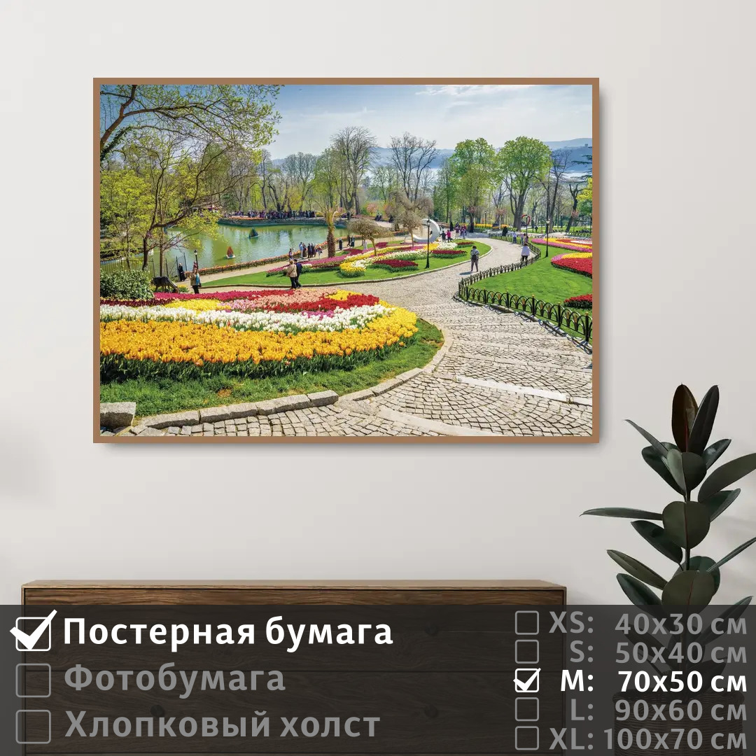 

Постер на стену ПолиЦентр Весенние тюльпаны в стамбуле 70х50 см, ВесенниеТюльпаныВСтамбуле
