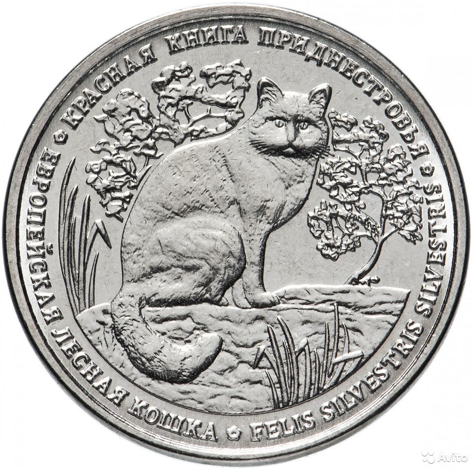 фото Монета 1 рубль. красная книга - европейская лесная кошка, приднестровье. 2020 г. в. unc mon loisir