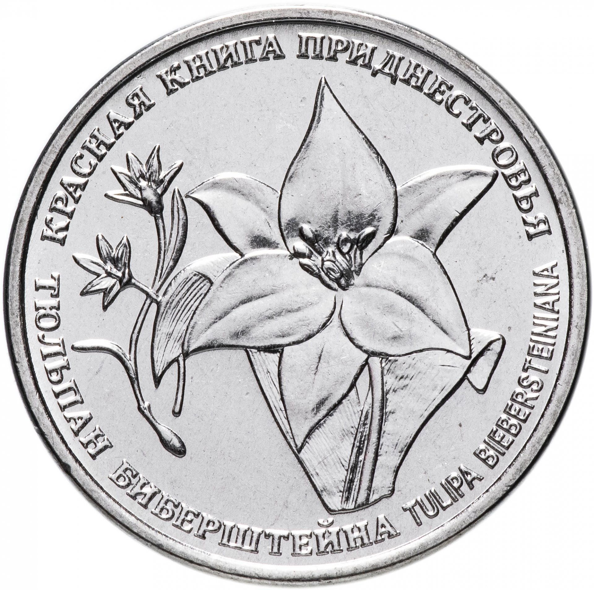 фото Монета 1 рубль. красная книга - тюльпан биберштейна, приднестровье. 2019 г. в. unc mon loisir