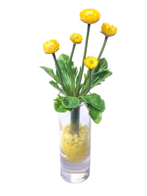 фото Искусственные цветы маргаритки в стеклянной вазе gerard de ros