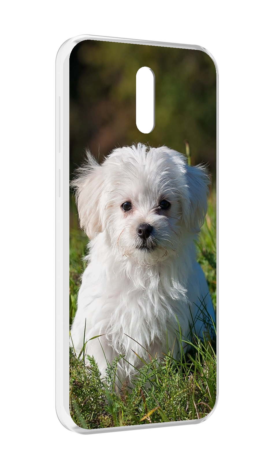 

Чехол MyPads мальтииская-болонка для Alcatel 3L (2019), Прозрачный, Tocco