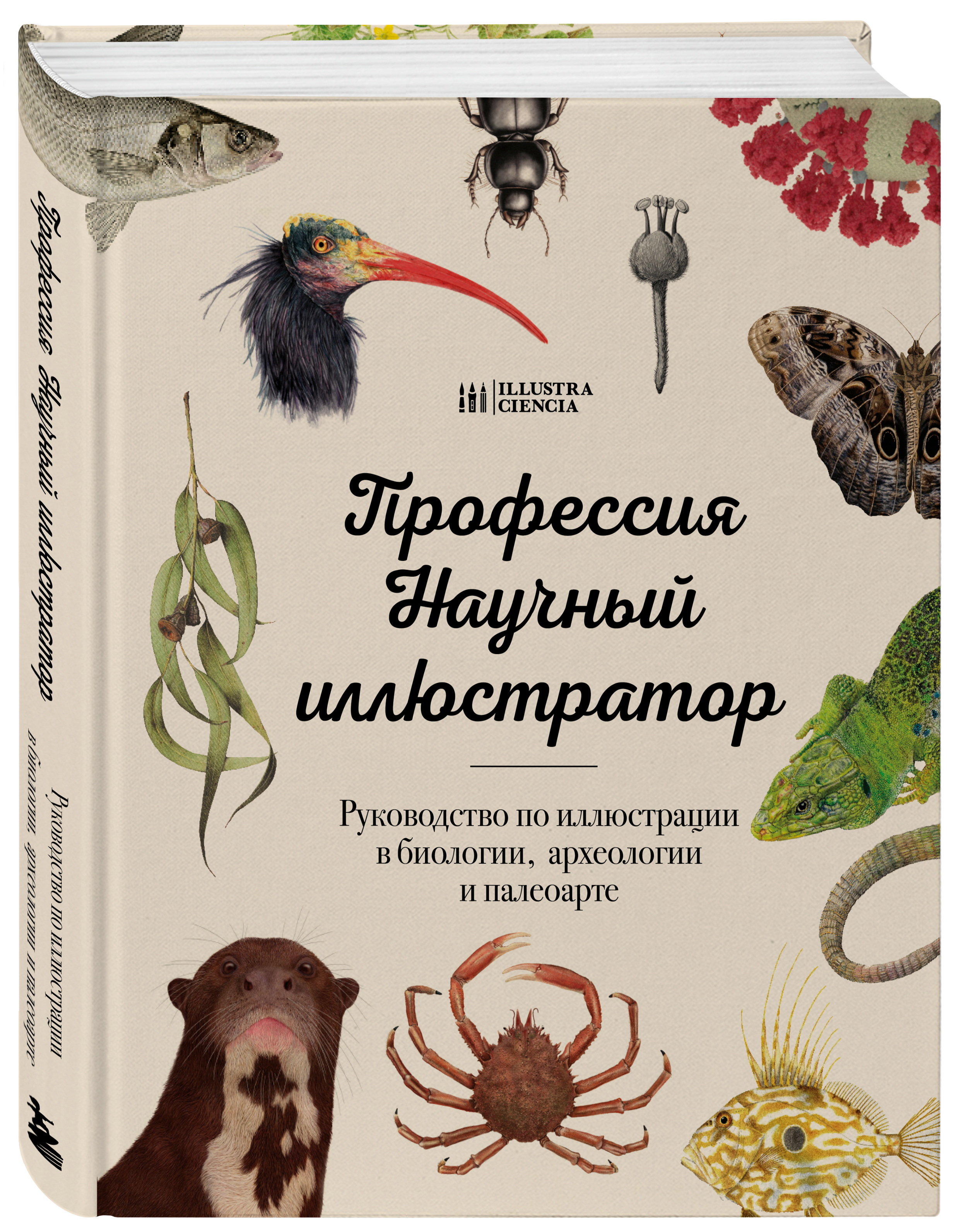 

Профессия Научный иллюстратор Руководство по иллюстрации в биологии, археологии