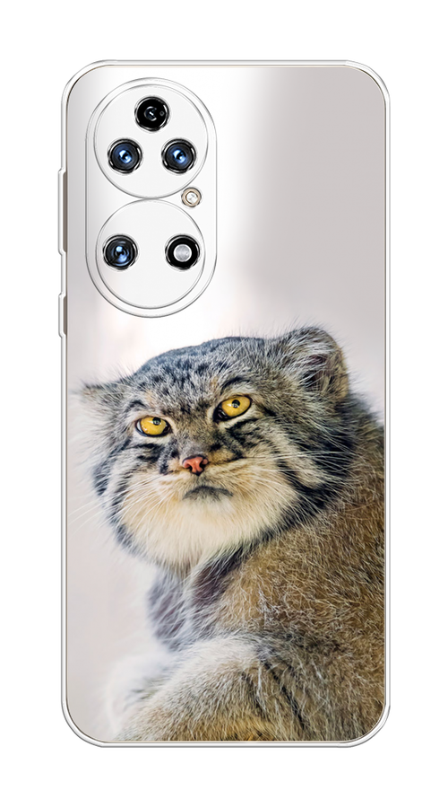 

Чехол на Huawei P50 "Кот манул 1", Серый;белый;желтый, 6104950-1