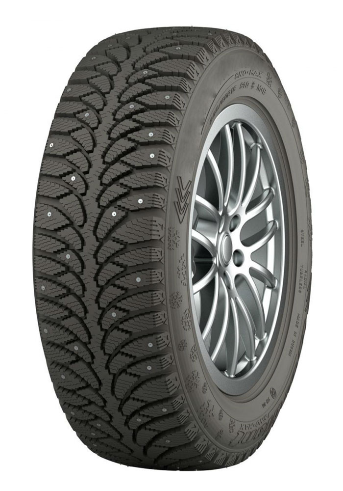 

Шины Tunga Nordway 2 PW-5 205/55 R16 94Q, Nordway 2 PW-5