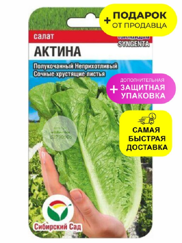 

Семена салат Актина 26220 1 уп.