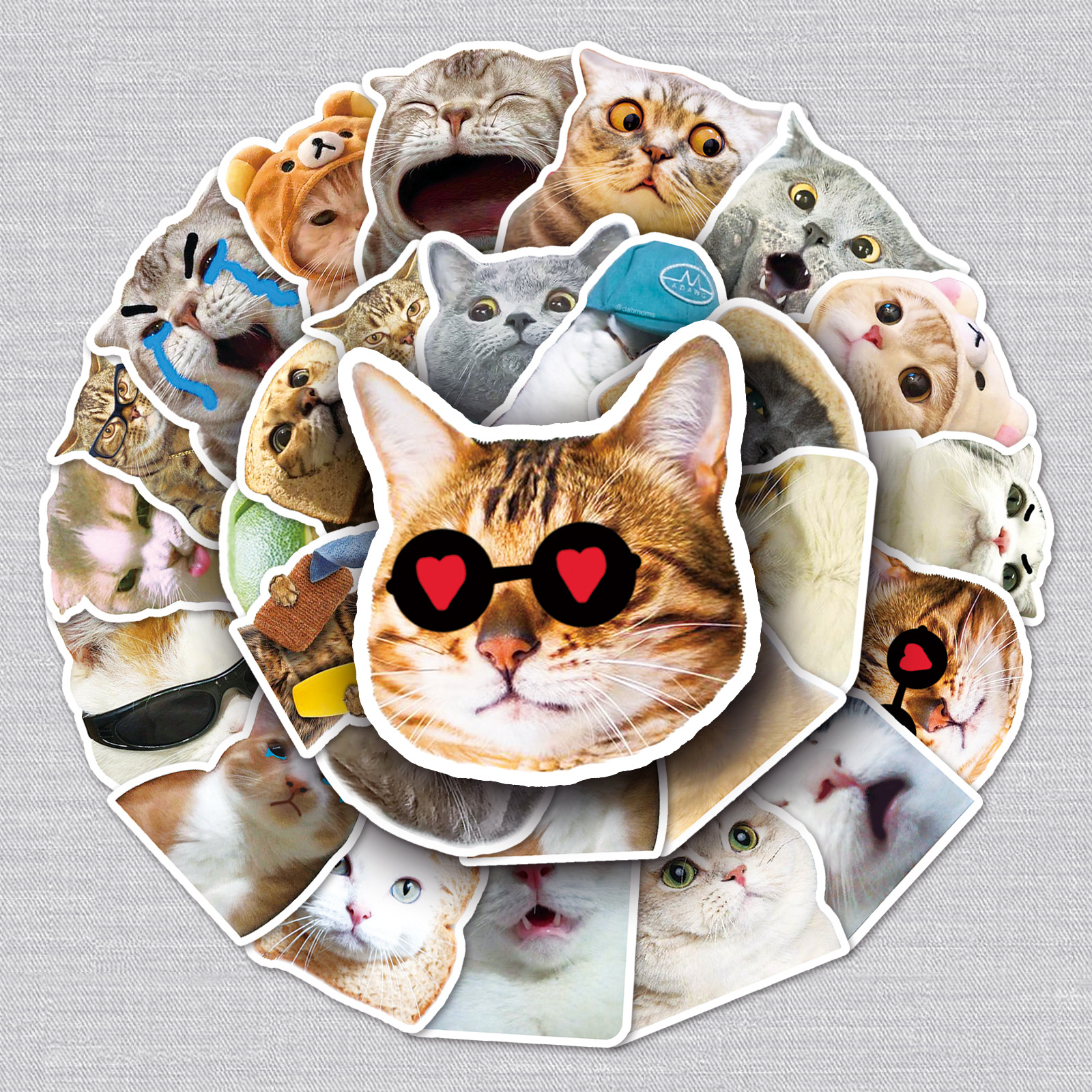 Виниловые наклейки коты мемы DW SHOP, набор наклеек смешные кошки 50 шт