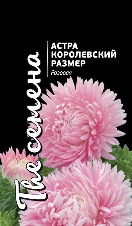 

Семена астра Однолетний 27318 1 уп.