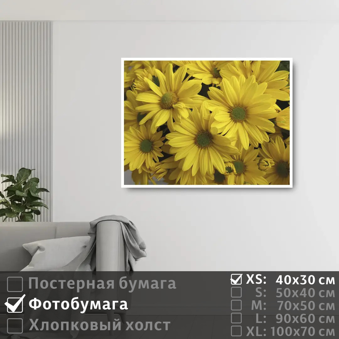 

Постер на фотобумаге ПолиЦентр Желтые цветки хризантемы 40х30 см, ЖелтыеЦветкиХризантемы