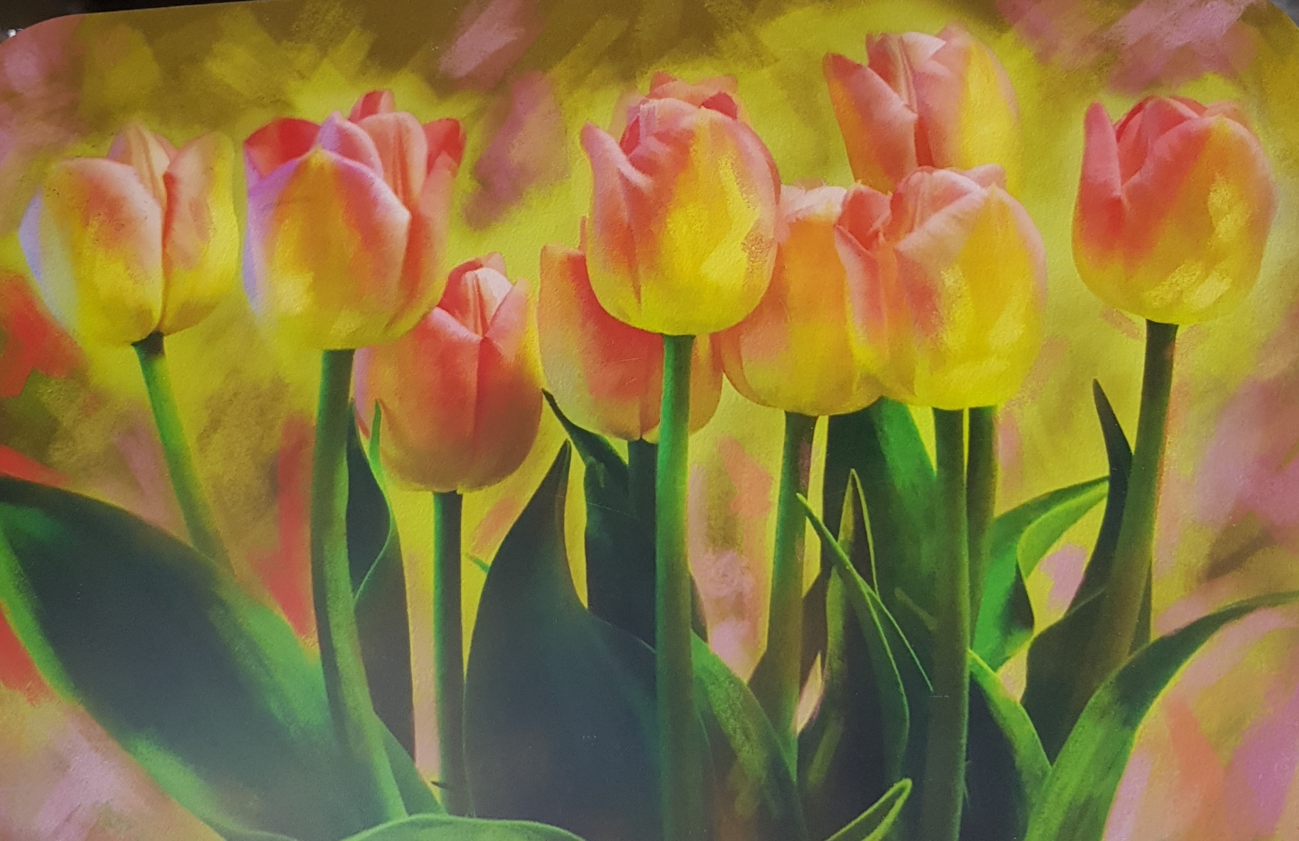 

Салфетка подстановочная Тюльпаны 2641 см., пвх.