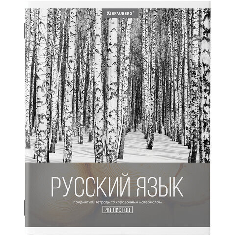 

Тетрадь предметная BRAUBERG КЛАССИКА XXI РУССКИЙ ЯЗЫК, 403949
