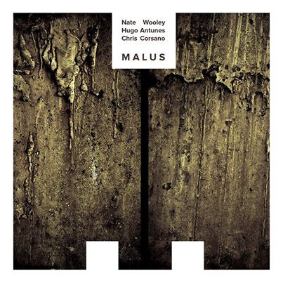 

Nate Wooley, Hugo Antunes, Chris Corsano - Malus