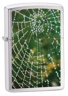 

Зажигалка Zippo Spider Web Rain Drops 28285, Серебристый;зеленый