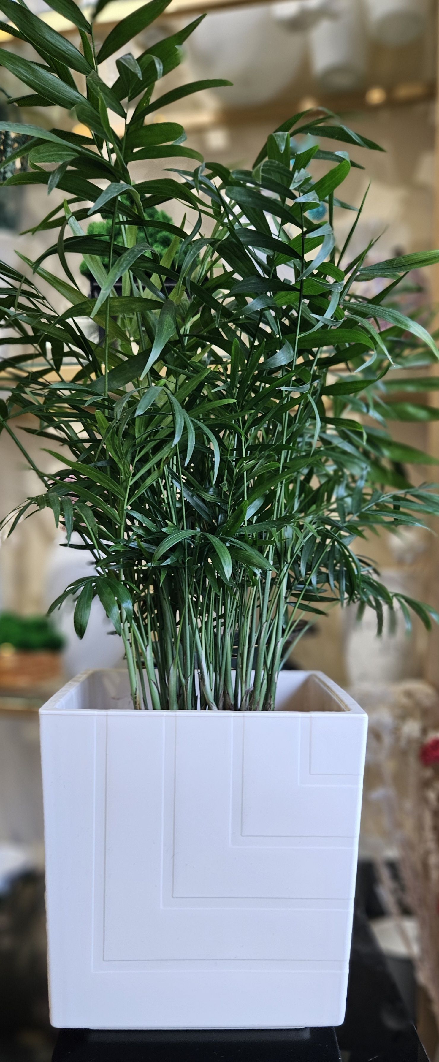 Горшок для цветов ArAs Flowers Квадро Ванильный, 6.6 л., 1 шт.