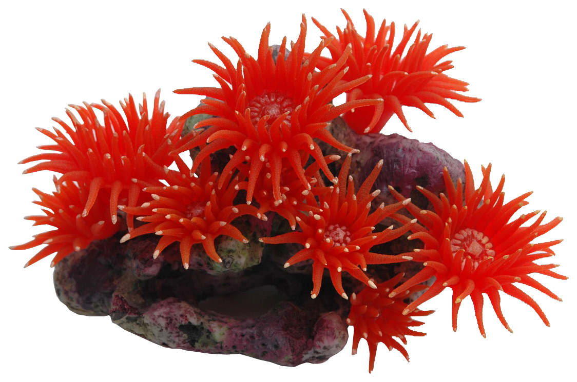 Коралл силиконовый Vitality SH208R, красный, 20x12x14 см
