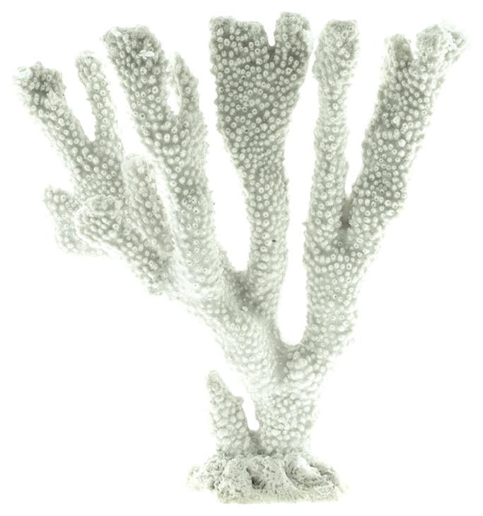

Коралл пластиковый Vitality SH064W, белый, 25x7x25 см