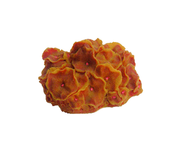 Коралл пластиковый Vitality SH011RY, желто-красный, 14х12х7 см