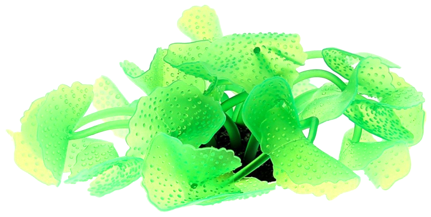 Коралл искусственный Vitality SH138G, зеленый, 5x5x12 см