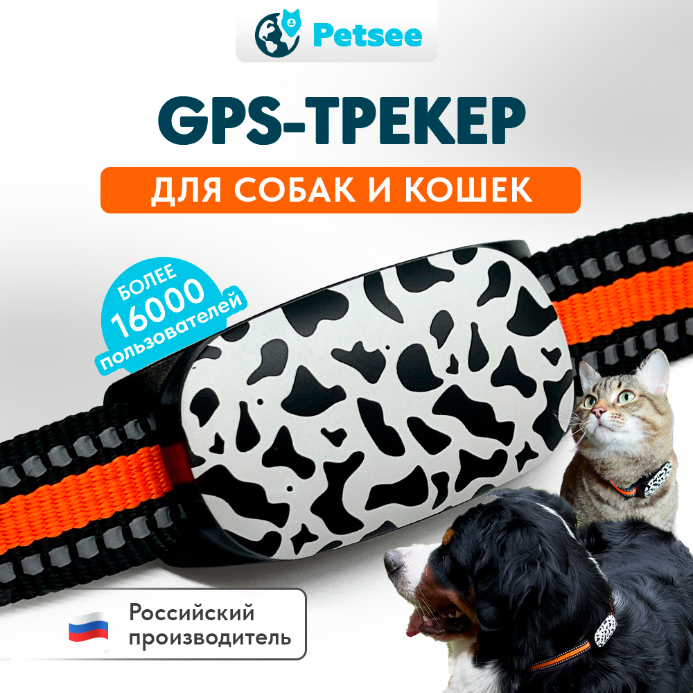 Ошейник для животных Petsee 4G Cats с GPS, черный, оранжевый, 10-50 см