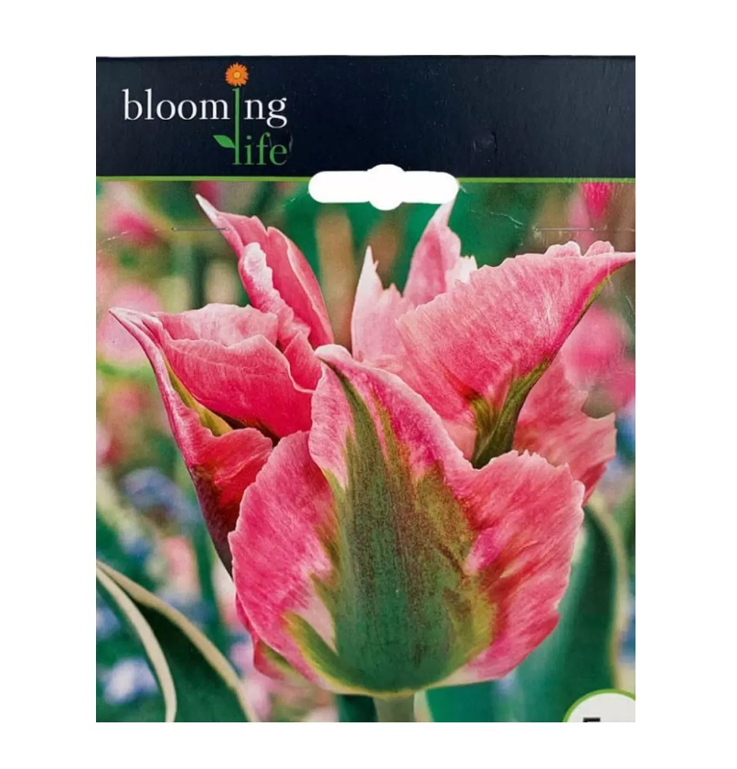 

Семена Тюльпан Чайна Таун 5 12/+ Blooming Life