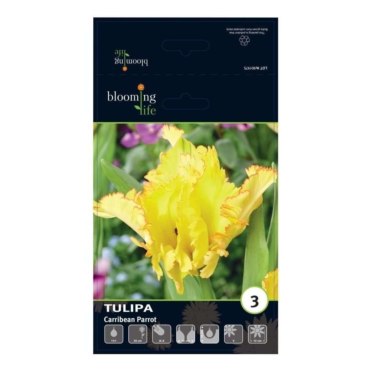 

Семена Тюльпан Карибеан Пэррот 3 11/+ Blooming Life