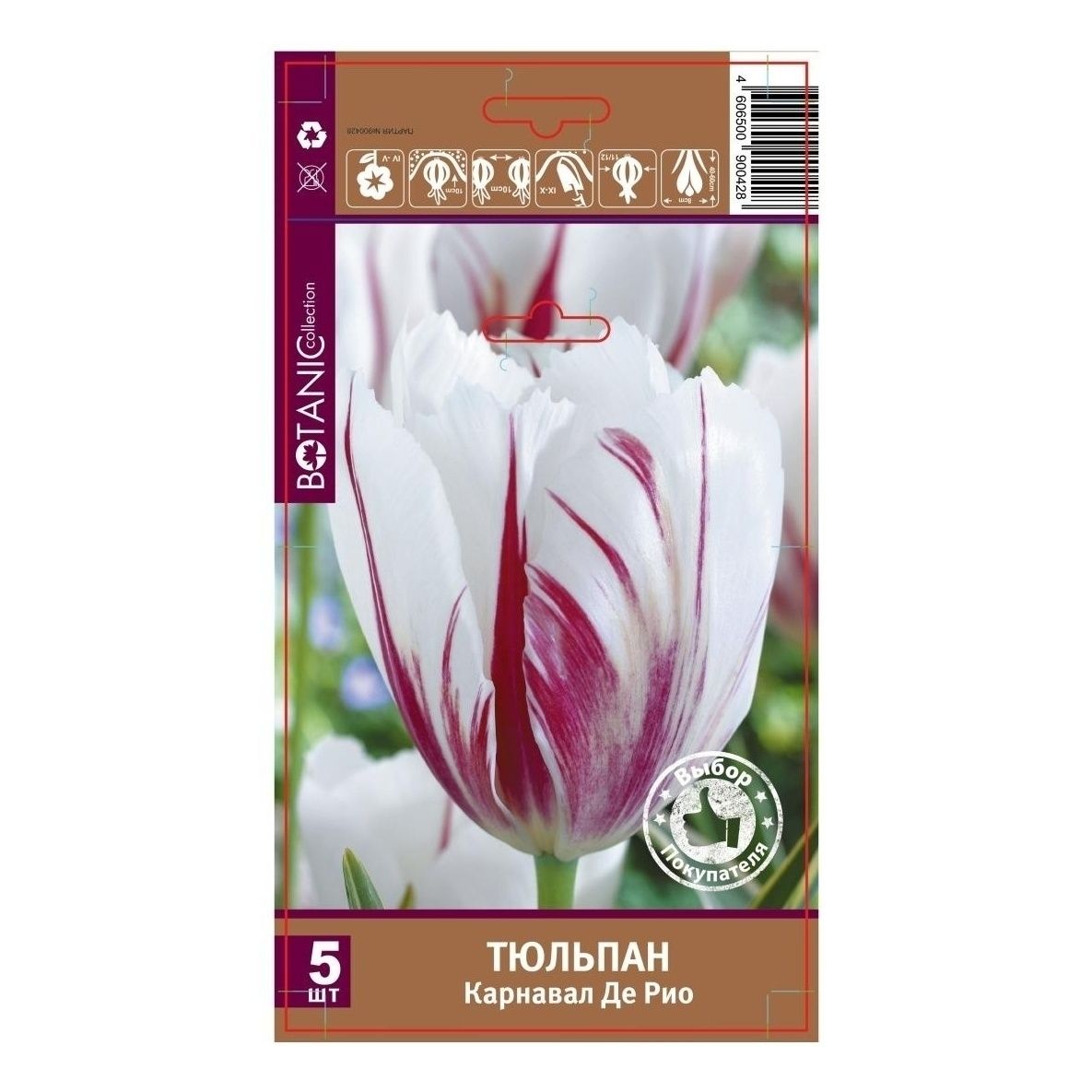 Семена Тюльпан Карнавал Де Рио 5 11/12 Botanic Collection