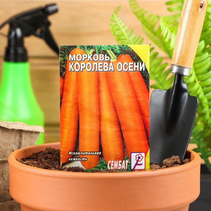 

Семена Морковь "Королева осени", 2 г
