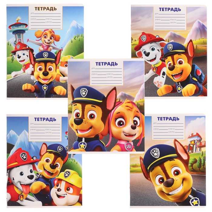 

Тетрадь 12 листов, 5 видов МИКС, клетка, Paw Patrol