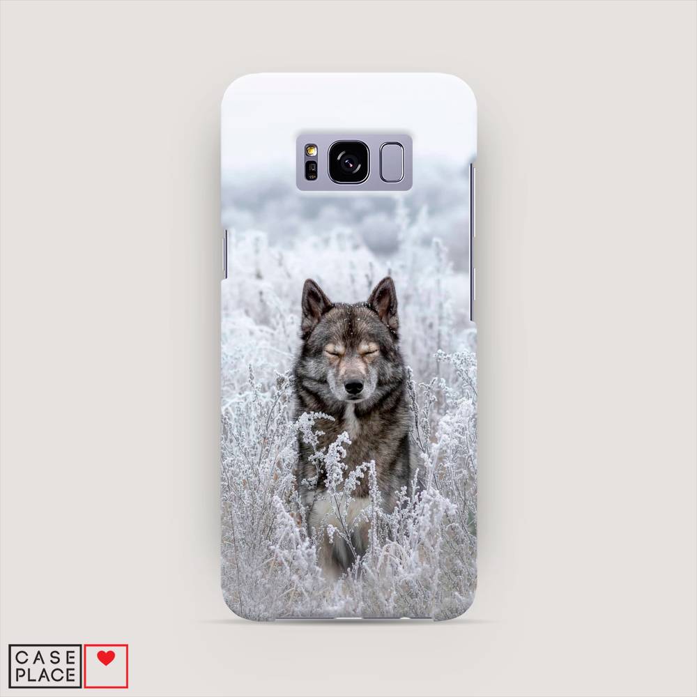 

Чехол Awog "Волк в поле" для Samsung Galaxy S8, 24720-1