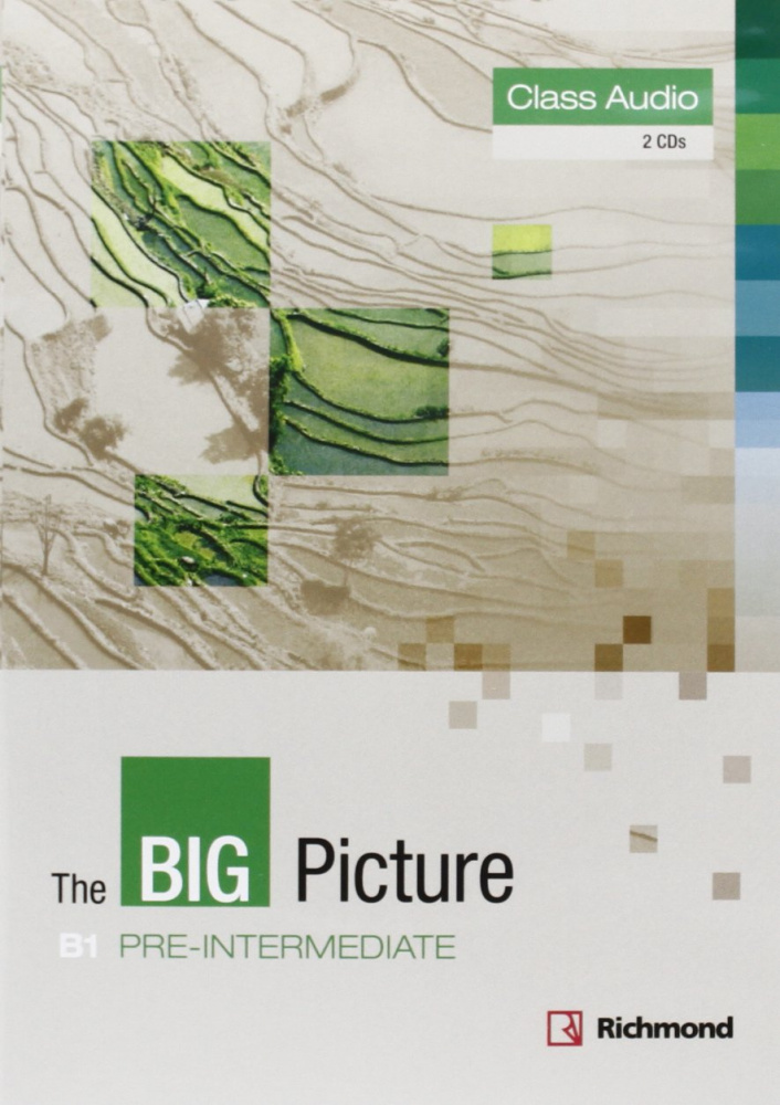 

Книга The Big Picture Pre-Intermediate Class CD