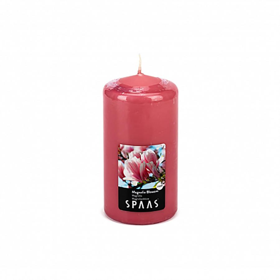 

Свеча ароматическая Spaas Цветущая Магнолия, 15x8 см, Стокмарт-Свечи1-1