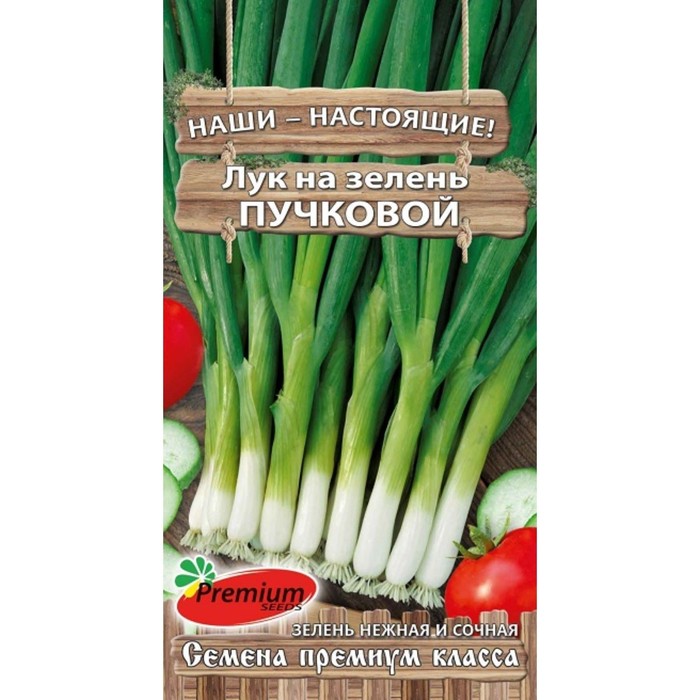 фото Семена лук premium seeds пучковый р00009047 1 уп.