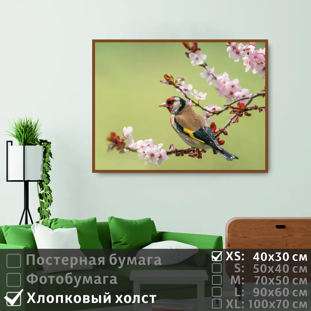 

Постер на холсте ПолиЦентр Птица зяблик сидит на цветущей ветке 40х30 см, ПтицаЗябликСидитНаЦветущейВетке